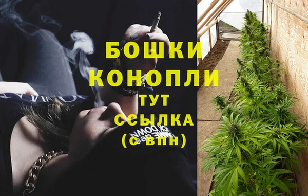 амф Няндома