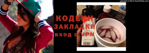 амф Няндома