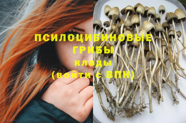 бутират Нягань