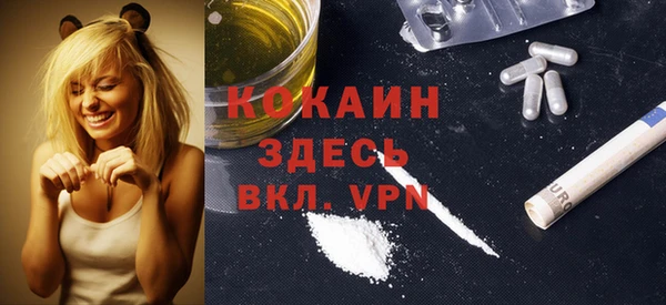 амф Няндома