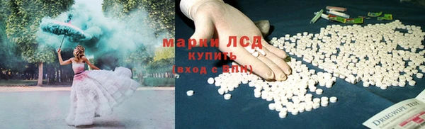 PSILOCYBIN Мегион